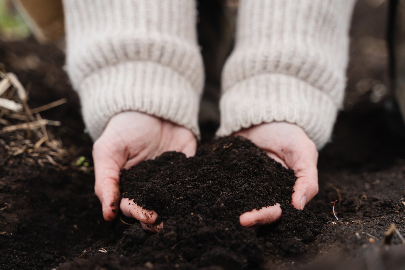 Gartenerde in Händen gehalten – gesunder Boden