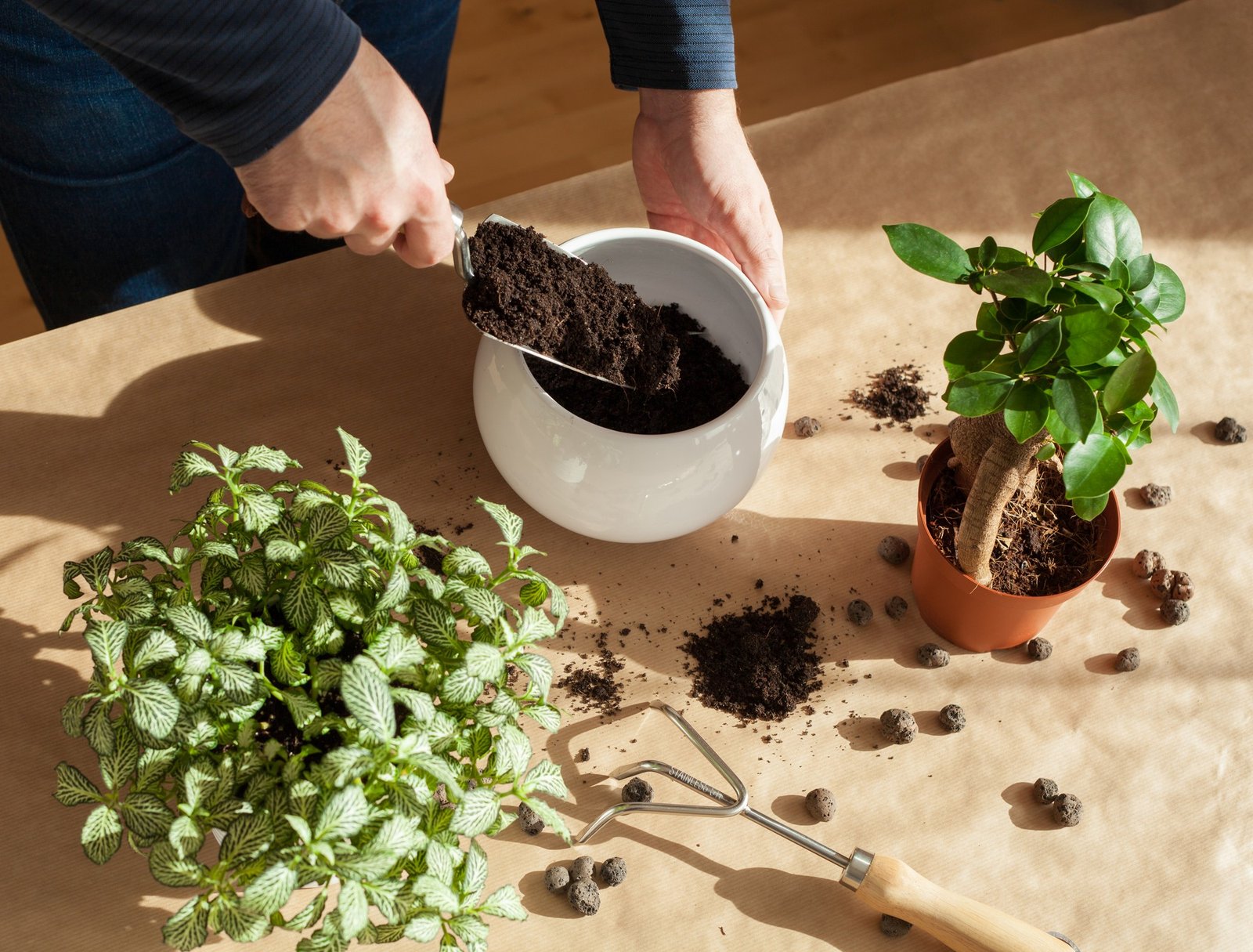 Kaffeesatz auf Gartenerde gestreut